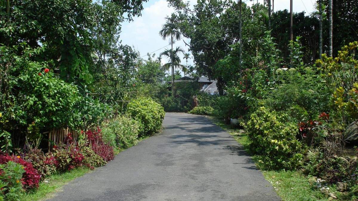 Activity image 11
