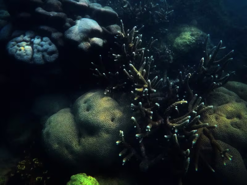 Activity image 3