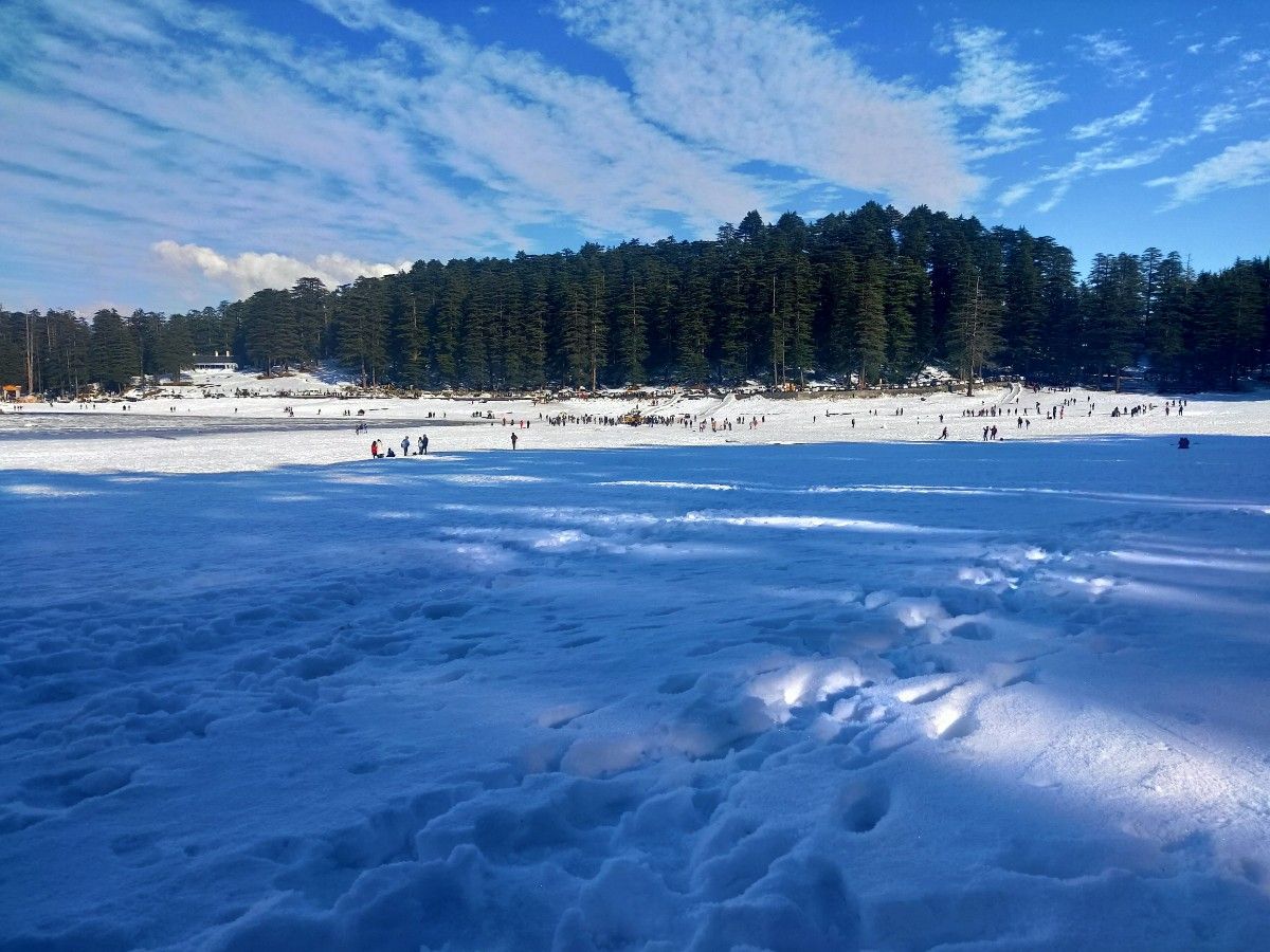 Activity image 5
