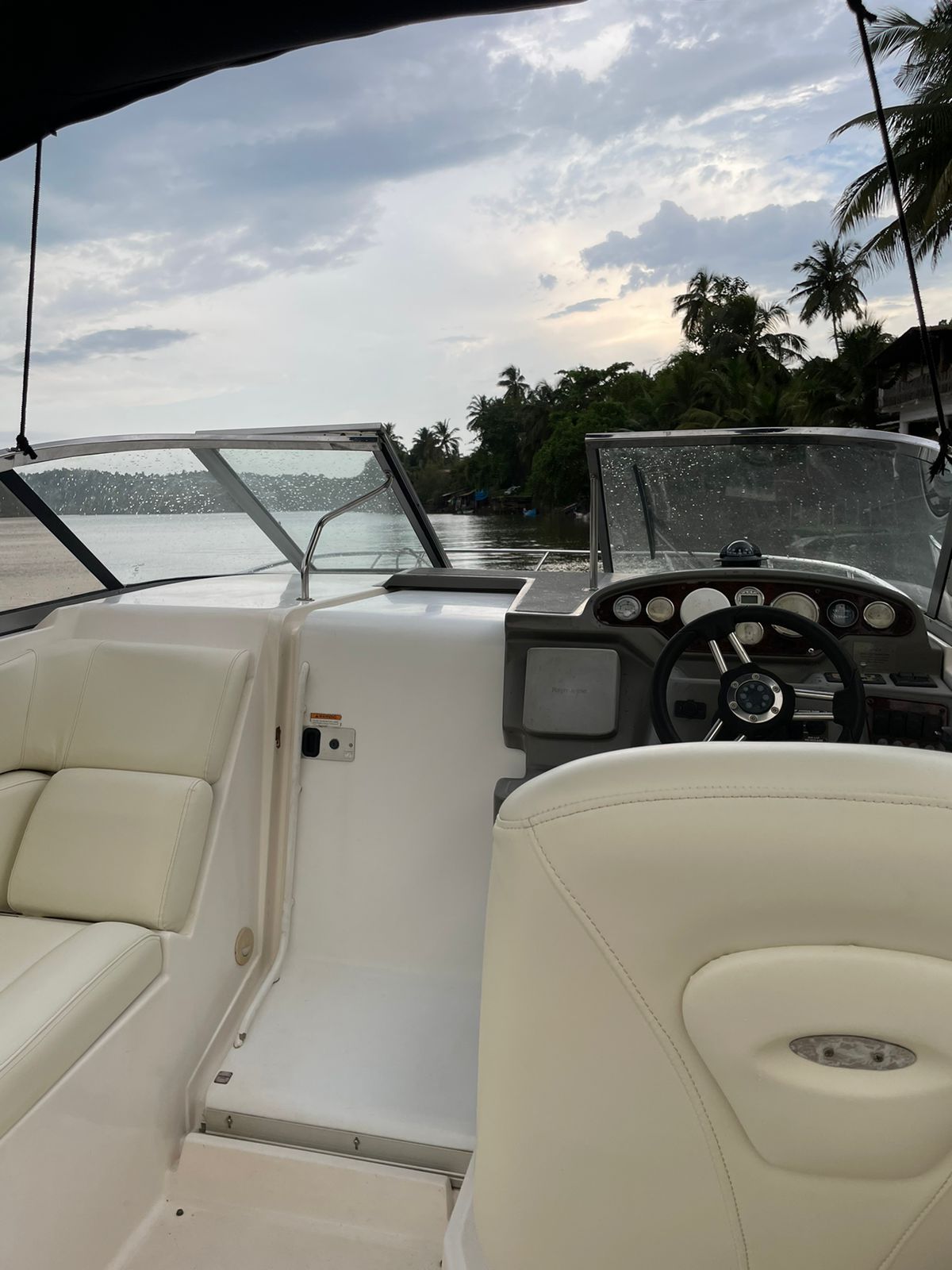 Activity image 9