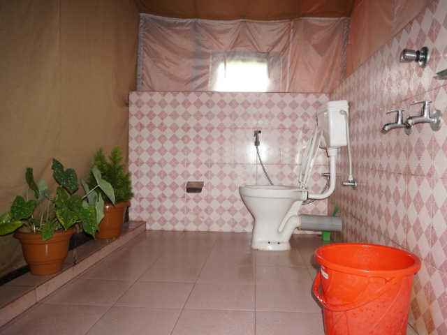 Activity image 5