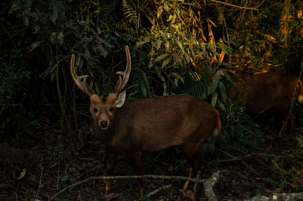 Activity image 9