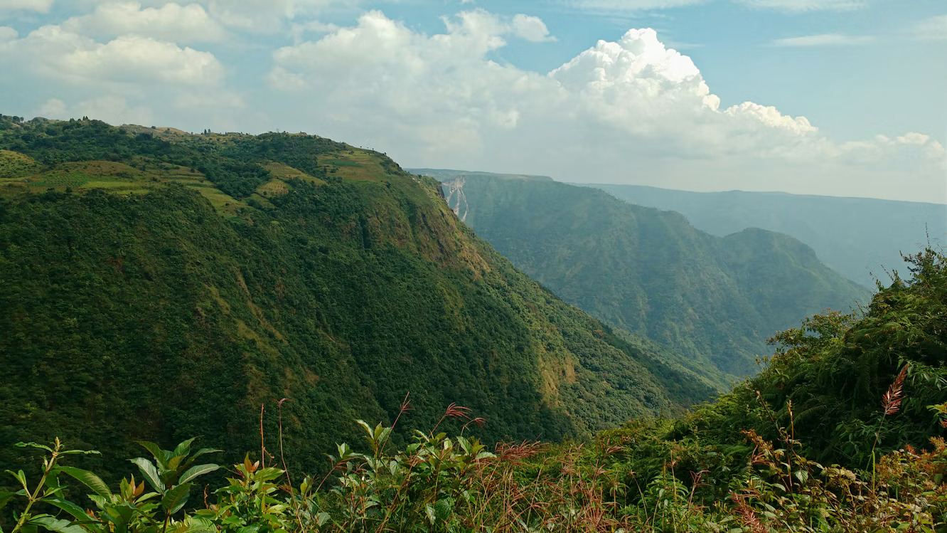 Activity image 1