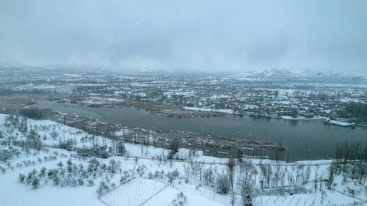 Activity image 1