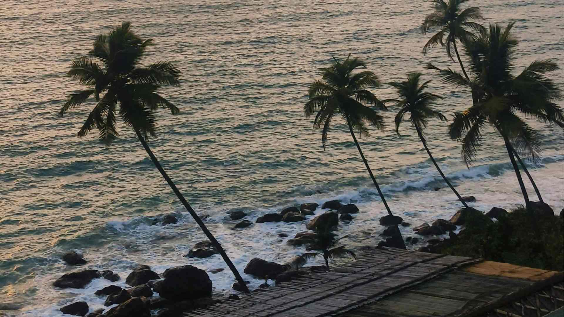 Activity image 7