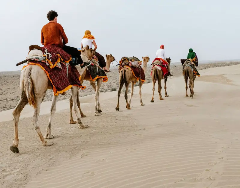 Activity image 1