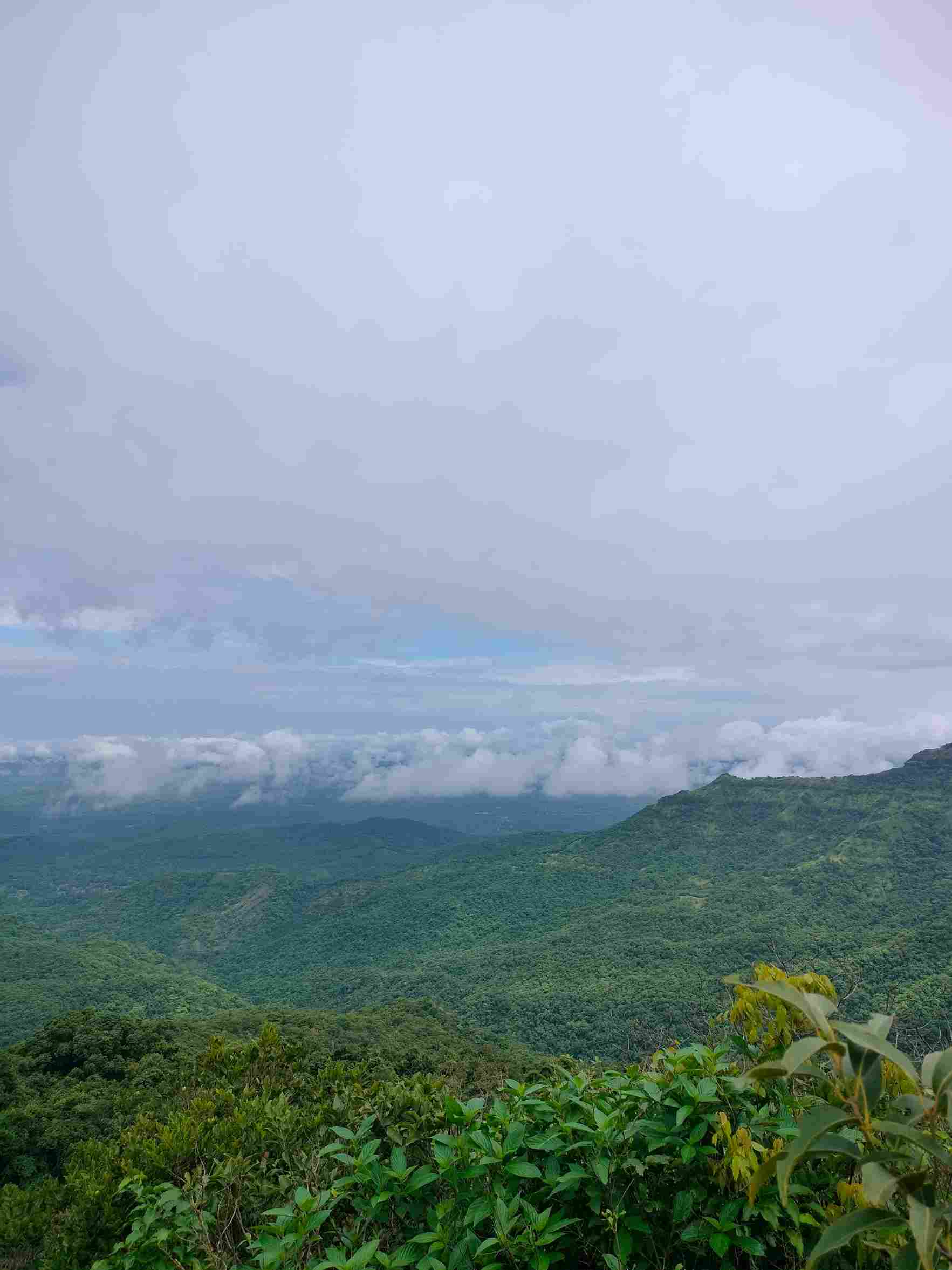Activity image 4