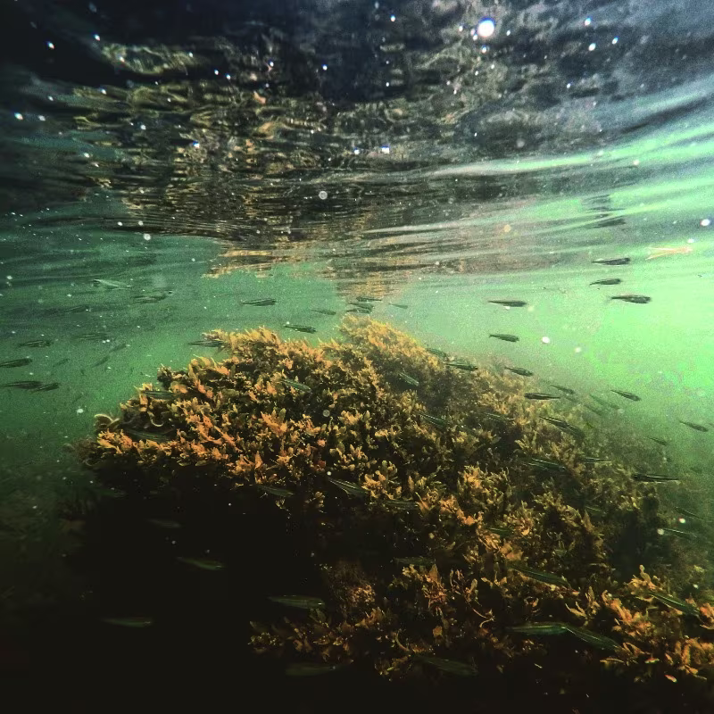 Activity image 1