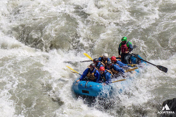 Activity image 2