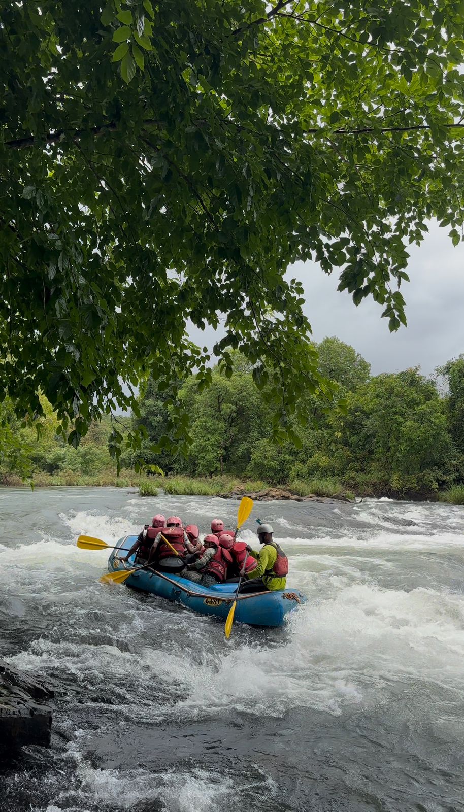 Activity image 1