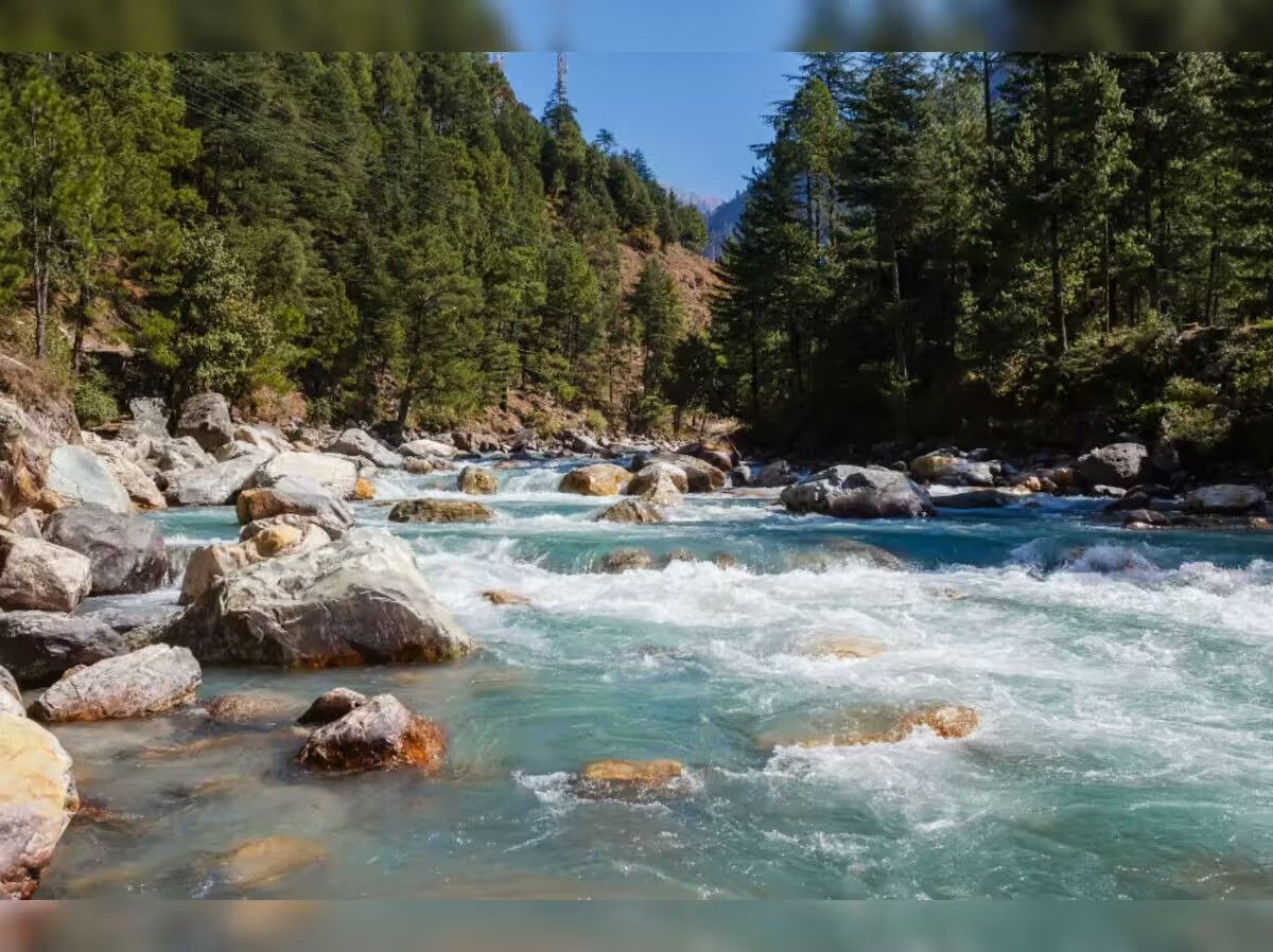 Activity image 1