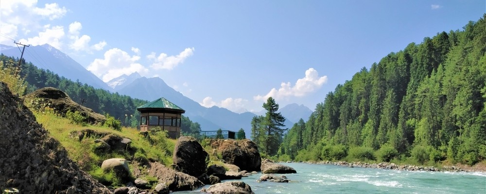 Activity image 9
