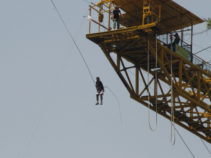 Activity image 4