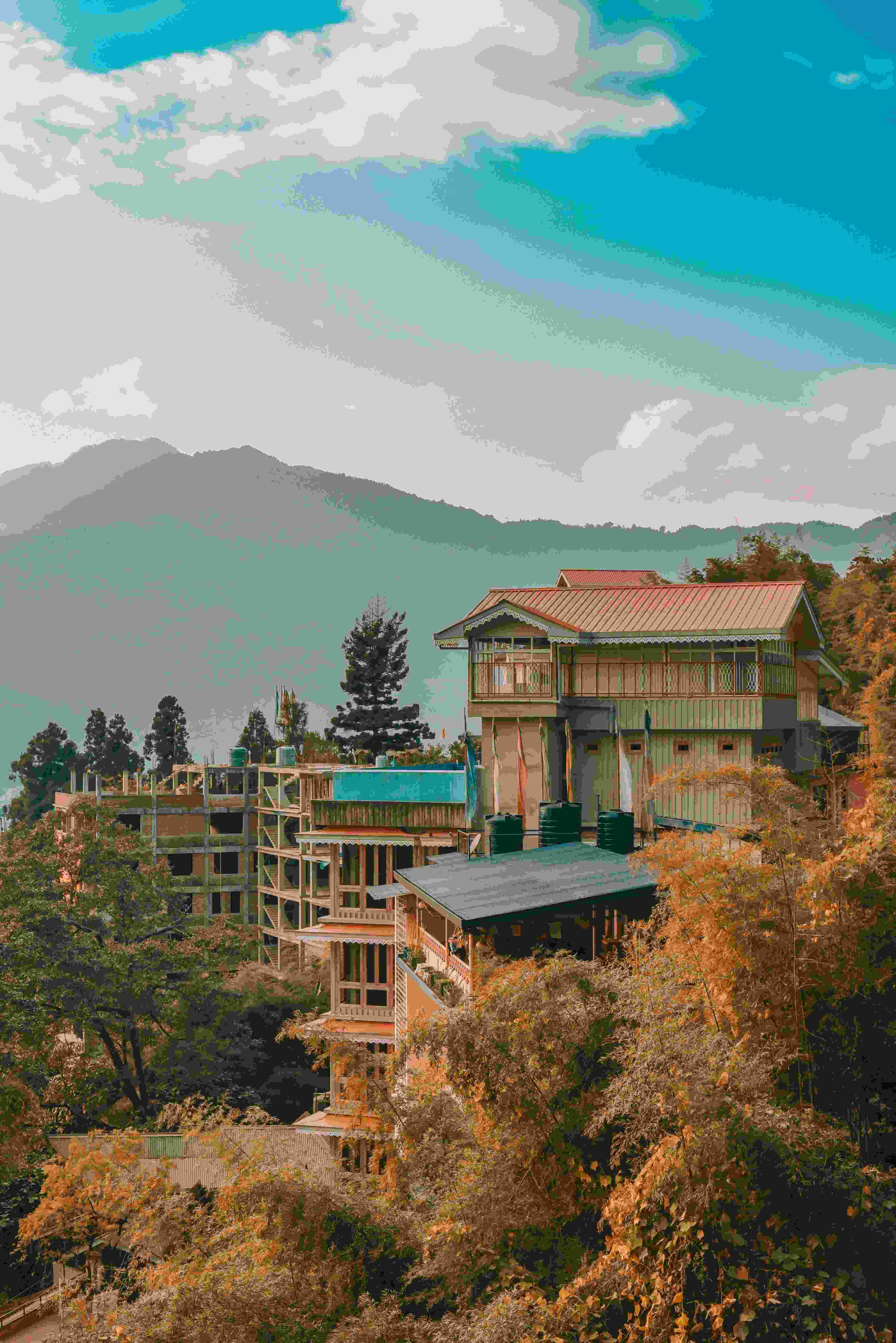 Activity image 2