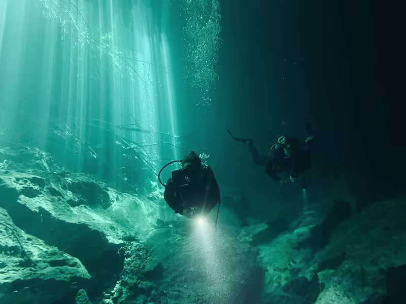 Activity image 1