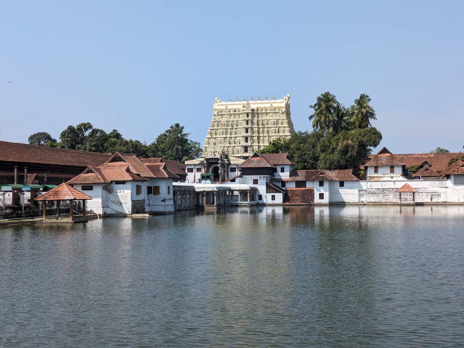 Activity image 1