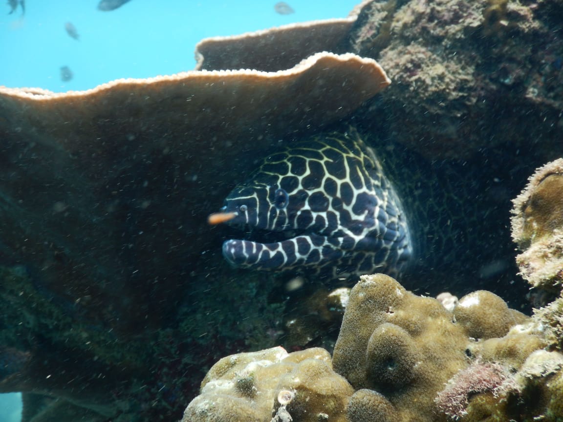 Activity image 4