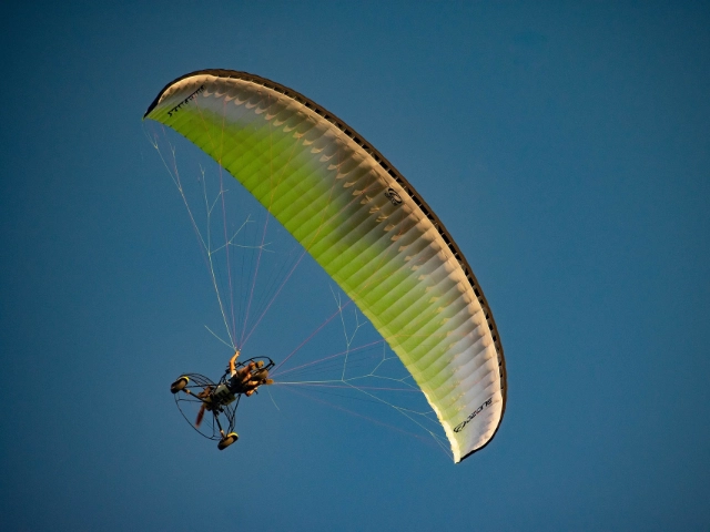 Activity image 3