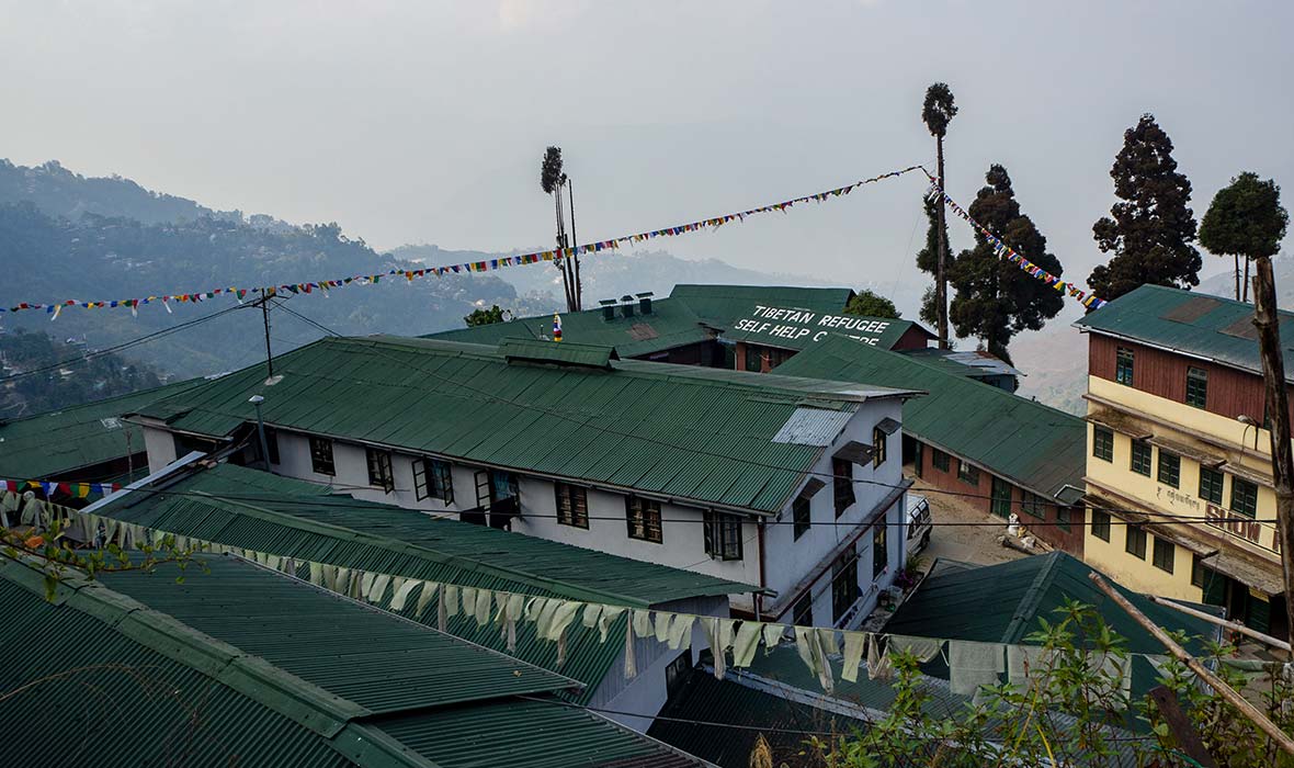 Activity image 9