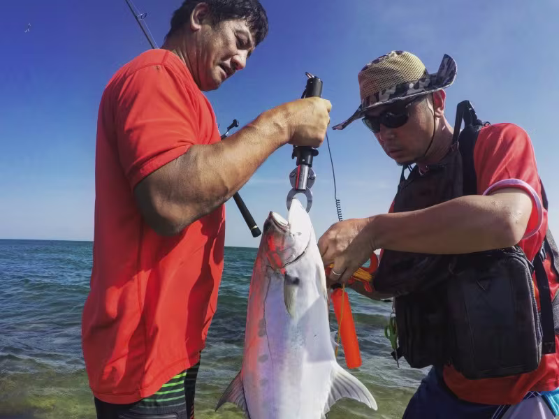 Activity image 1