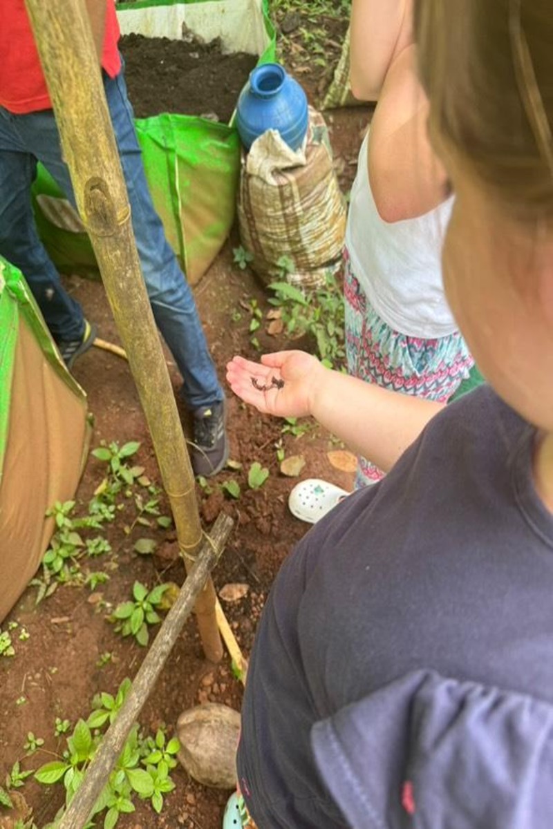 Activity image 6