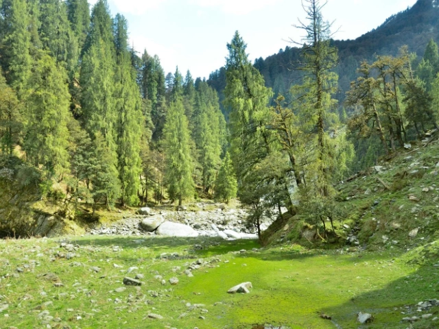 Activity image 3