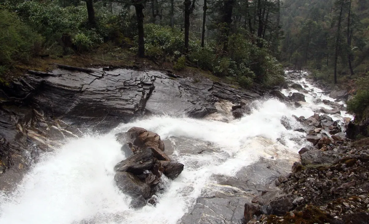 Activity image 4