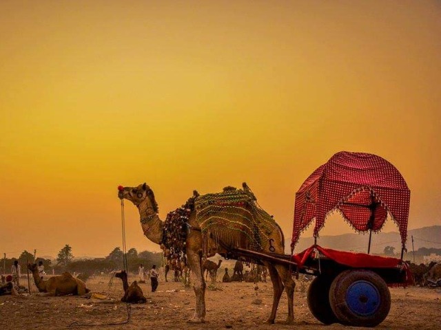 Activity image 1