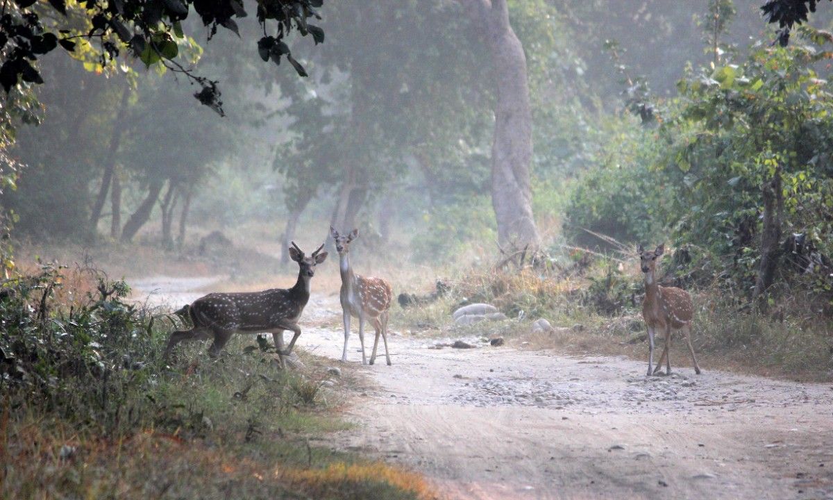 Activity image 7