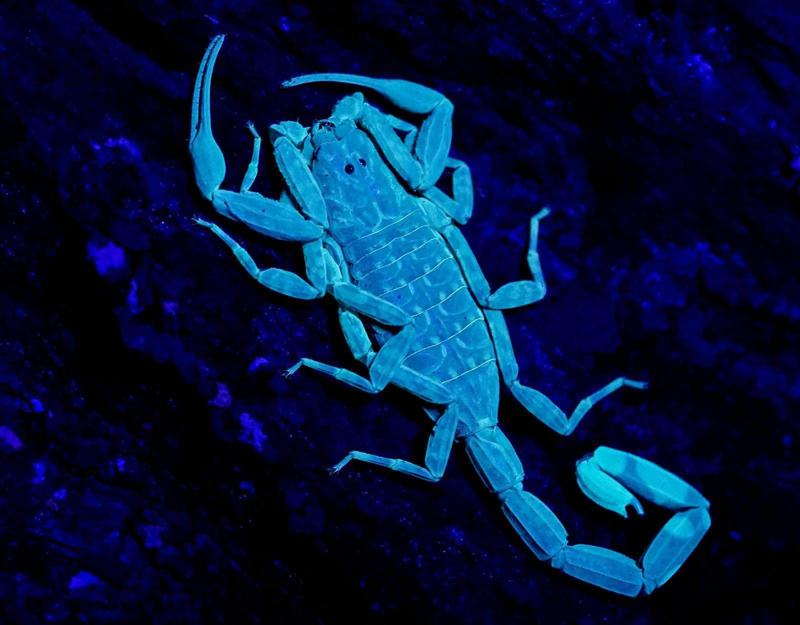 Activity image 1