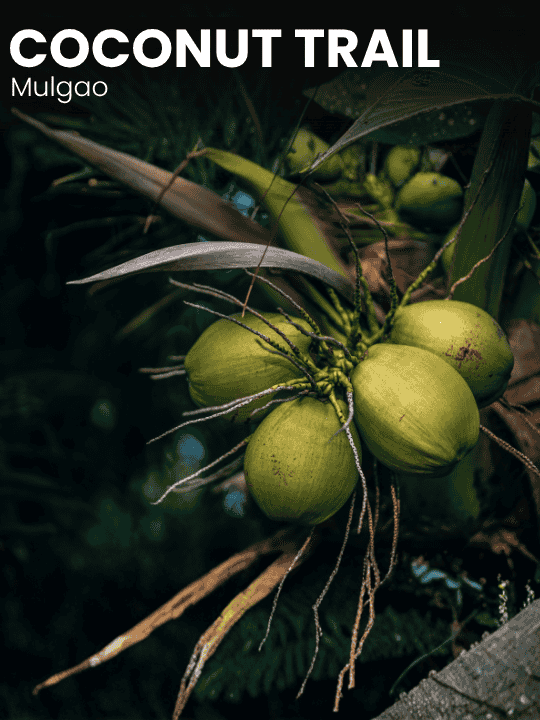 Activity image 1