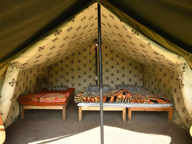 Activity image 5