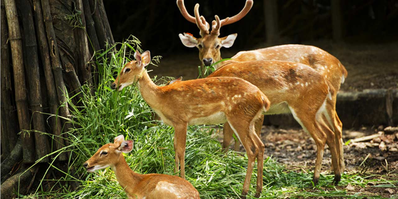 Activity image 8