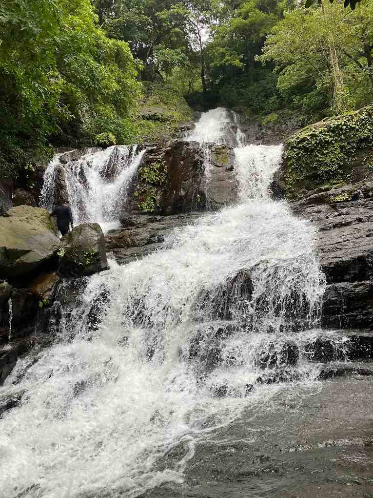 Activity image 1