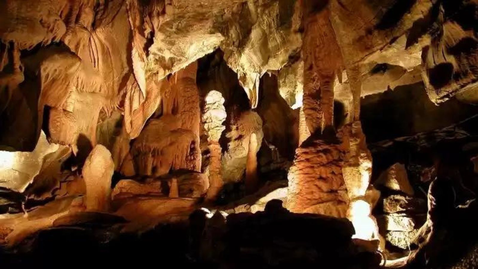 Activity image 6