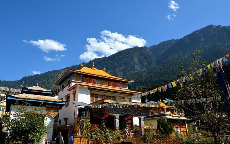 Activity image 7