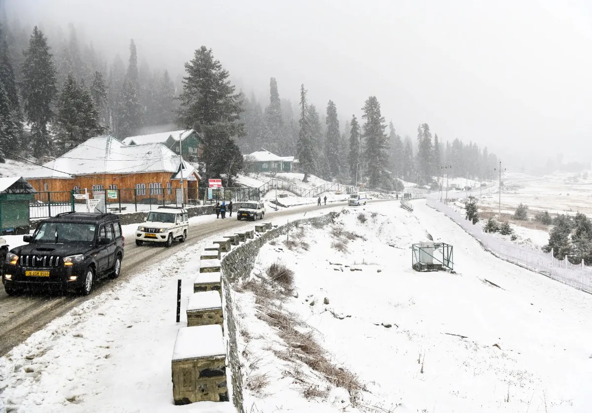 Activity image 6