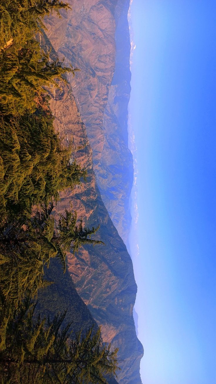 Activity image 1