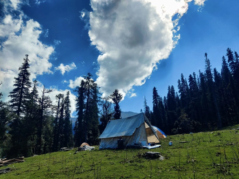 Activity image 2