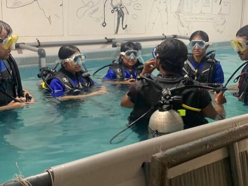 Activity image 2