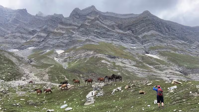 Activity image 1