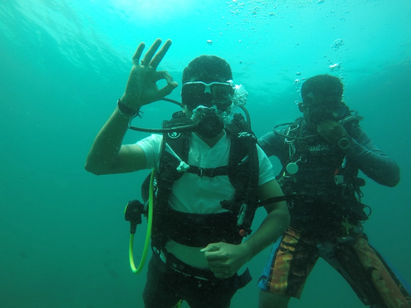 Activity image 2
