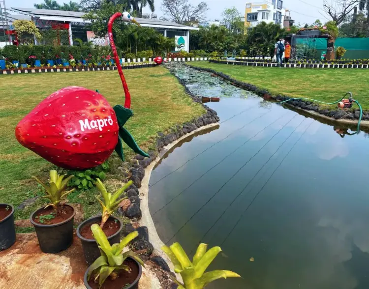 Activity image 1