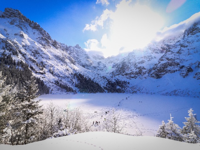 Activity image 4