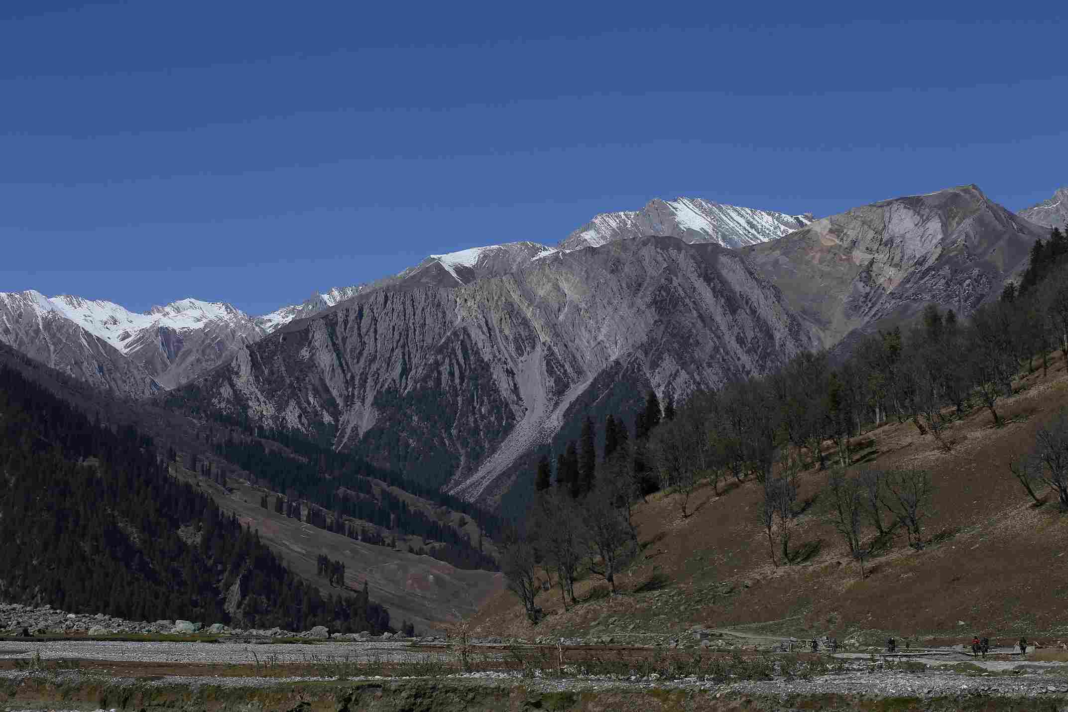 Activity image 4