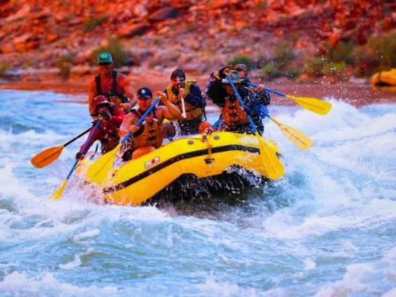 Activity image 5