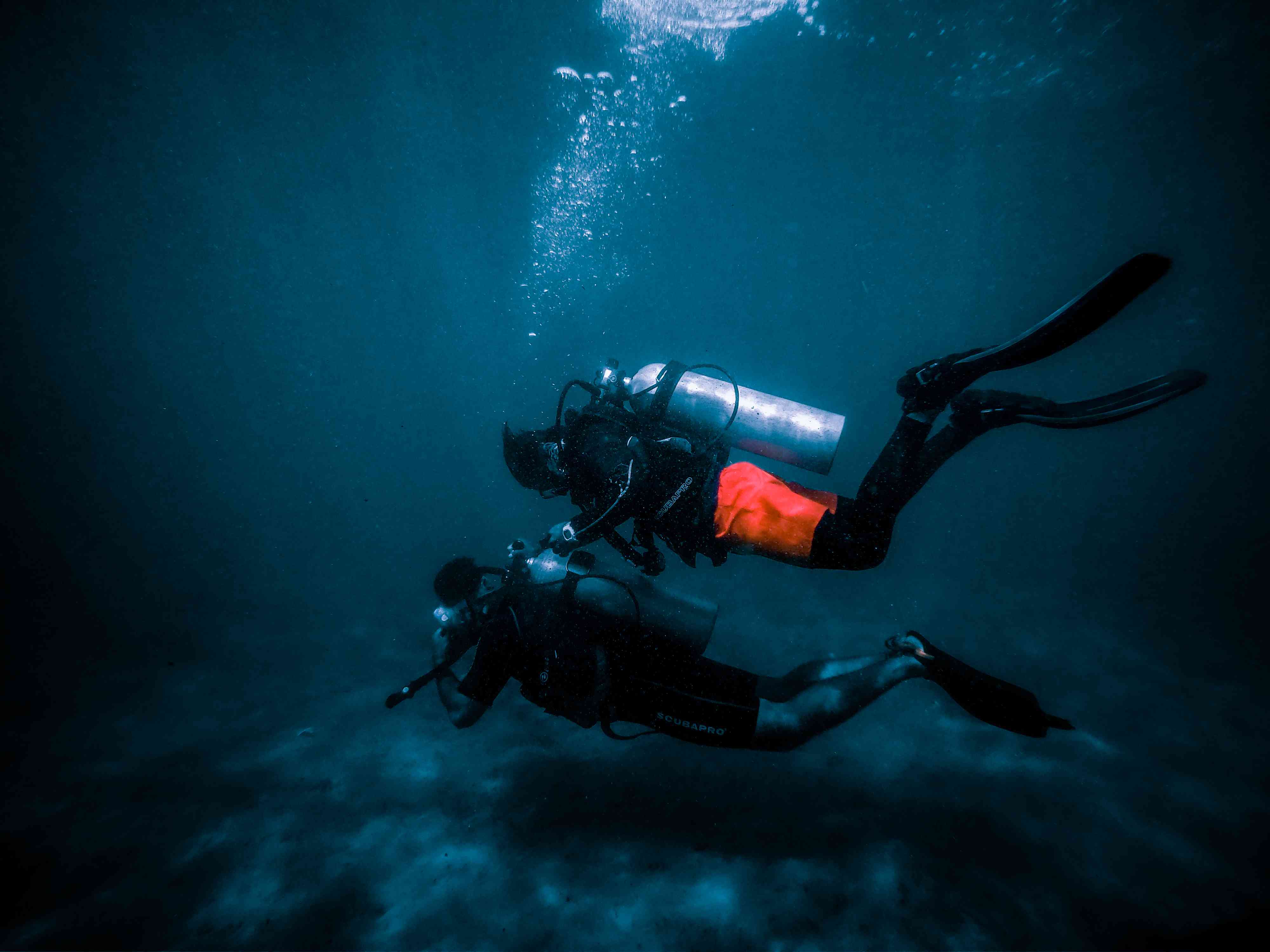 Activity image 4