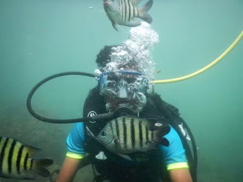 Activity image 2