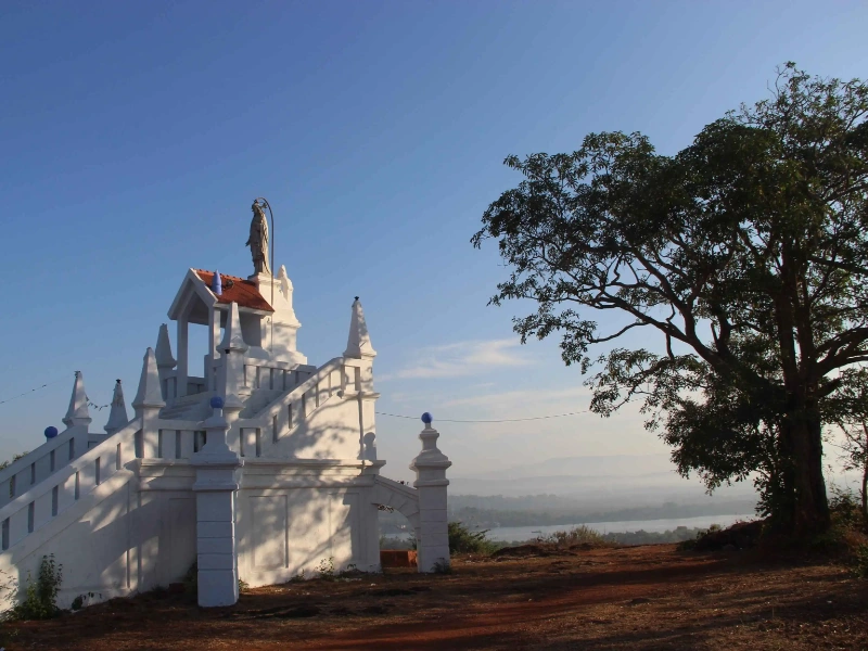 Activity image 1