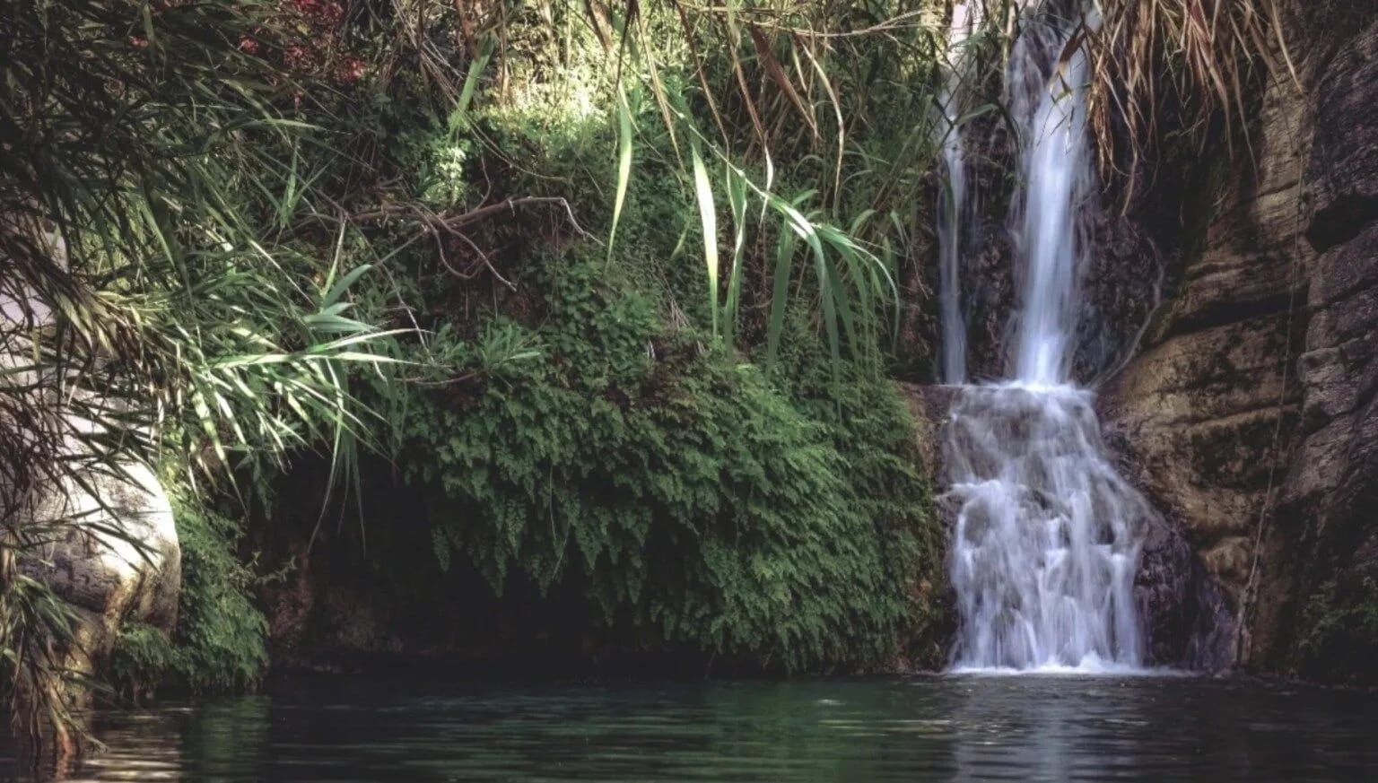 Activity image 1
